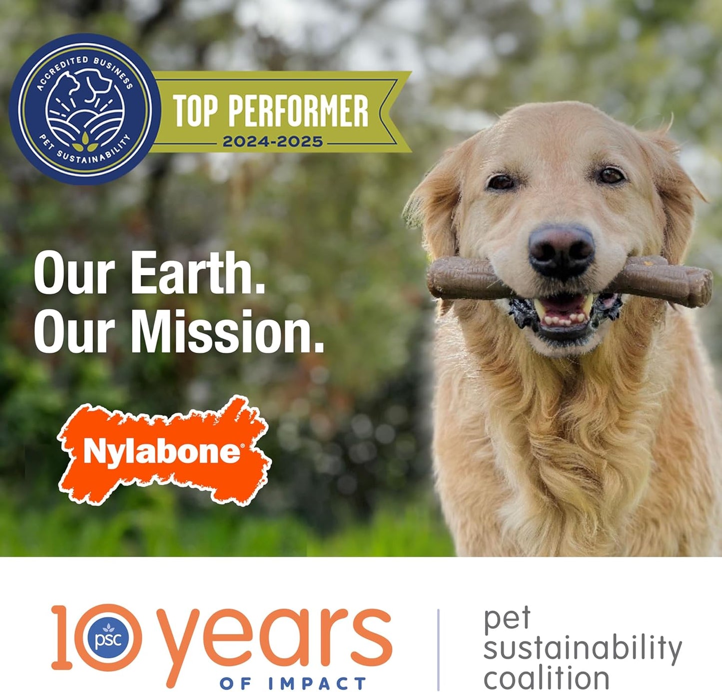 Double Action Power Chew Durable Dog Toy Bacon X-Large/Souper (1 Count)