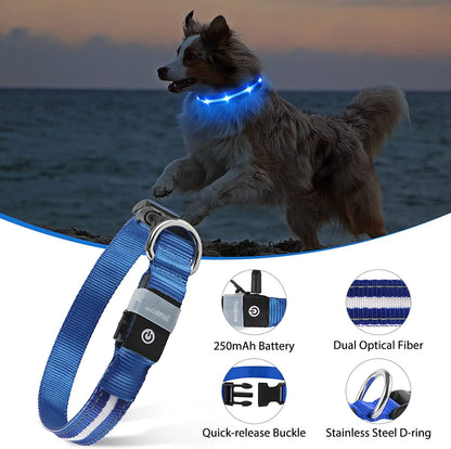 LED Dog Collar-Usb Rechargeable Glow Light up Dog Collars- Safety Waterproof Illuminated Flashing Light Collar for Dogs