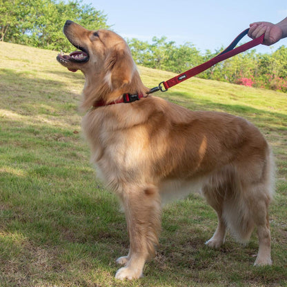 Traffic Nylon 18 Inches Short Leash with Soft Neoprene Padded Handle for Giant Large Medium Boy and Girl Dogs - Professional Training, Daily Use Walking. (Red)