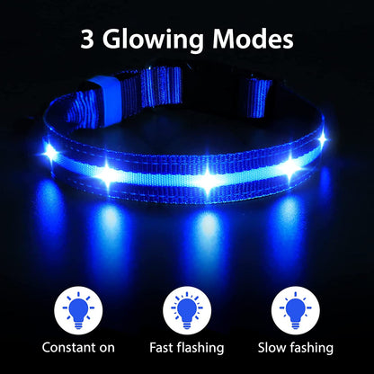 LED Dog Collar-Usb Rechargeable Glow Light up Dog Collars- Safety Waterproof Illuminated Flashing Light Collar for Dogs
