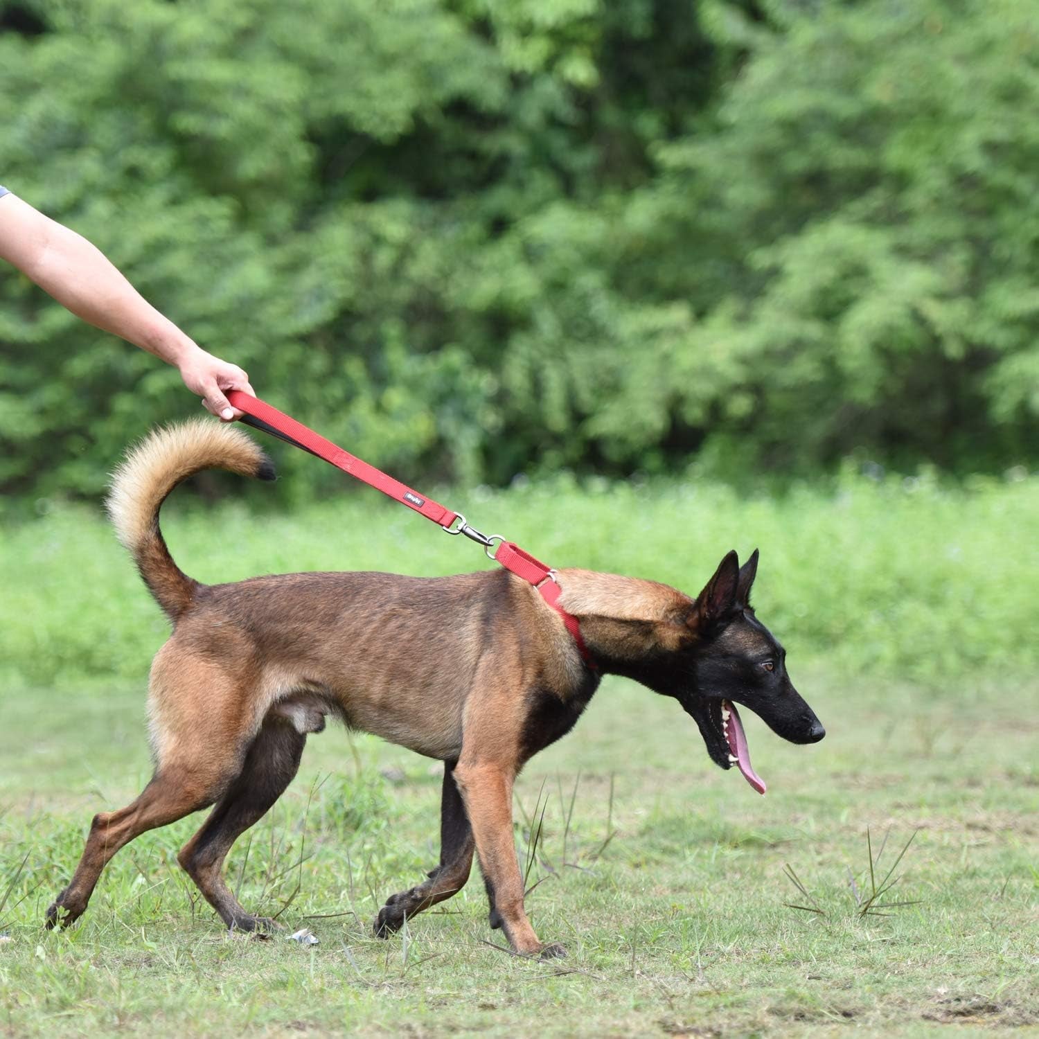 Traffic Nylon 18 Inches Short Leash with Soft Neoprene Padded Handle for Giant Large Medium Boy and Girl Dogs - Professional Training, Daily Use Walking. (Red)