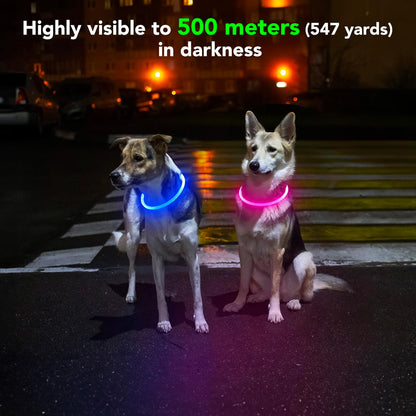 LED Dog Collar Waterproof Rechargeable - Bright TPU Light up Pet Collars, Reflective Adjustable Dog Glow Collar, Dog Safety Collar Light for Small Medium Large Dogs Night Walking&Camping